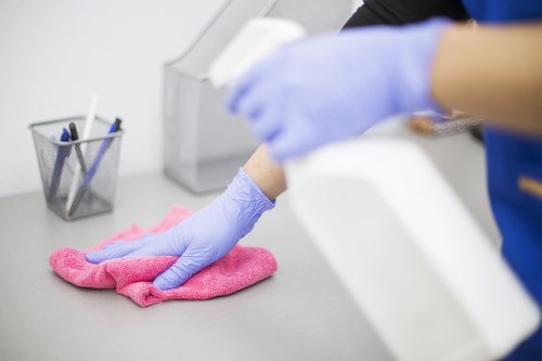 Professional Hammersmith cleaner providing household cleaning services