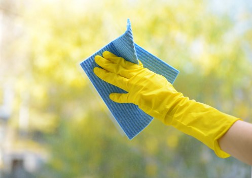 Professional carpet cleaning in a Hammersmith living room