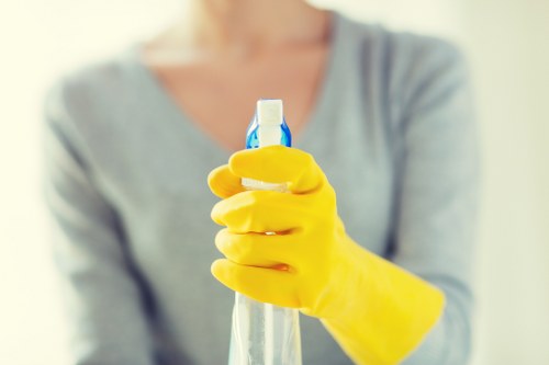Client confirming a cleaning appointment and service details