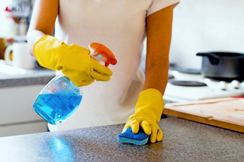 Kitchen appliance care with oven cleaning in Hammersmith for a fresher home