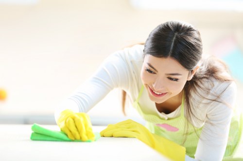 Specialist cleaner in Hammersmith performing deep cleaning tasks