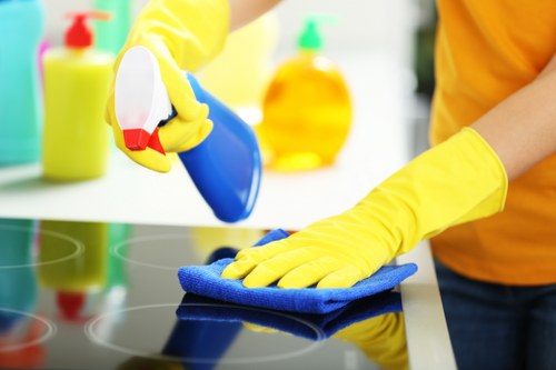 Cleaner inspecting a sofa fabric before treatment