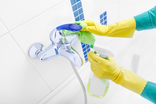 Important service terms being reviewed before a cleaning visit