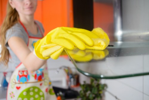 Eco-friendly home cleaning tools used in Hammersmith